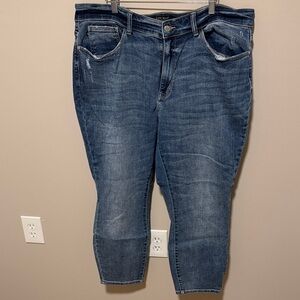 Judy Blue Indigo Wash Skinny Jeans